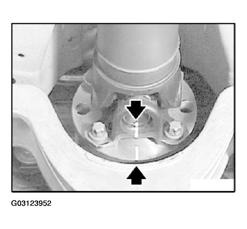 G03123952