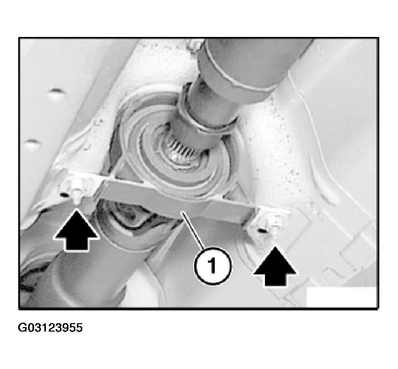 G03123955