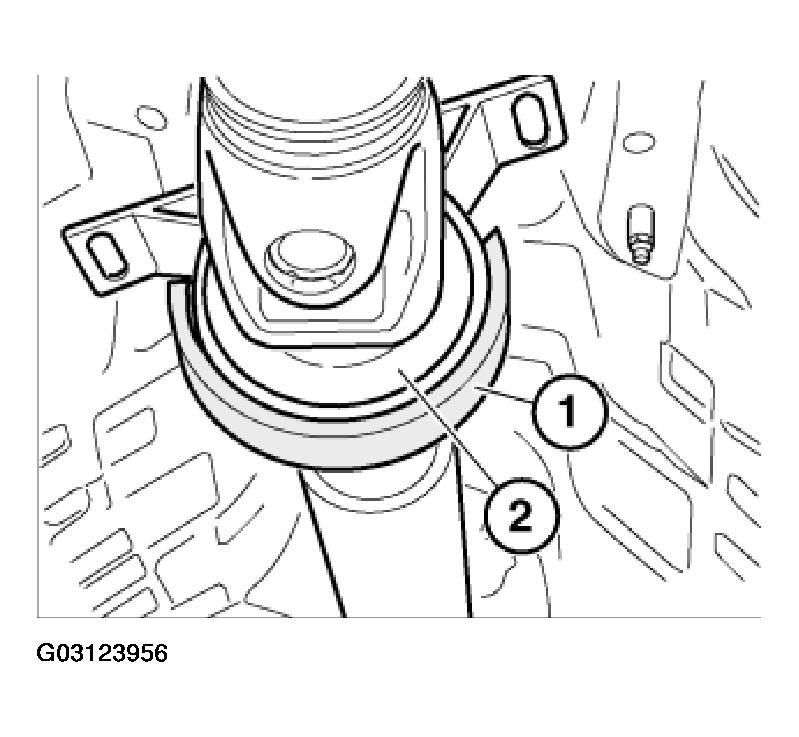 G03123956