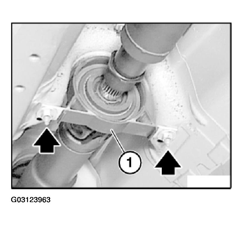 G03123963