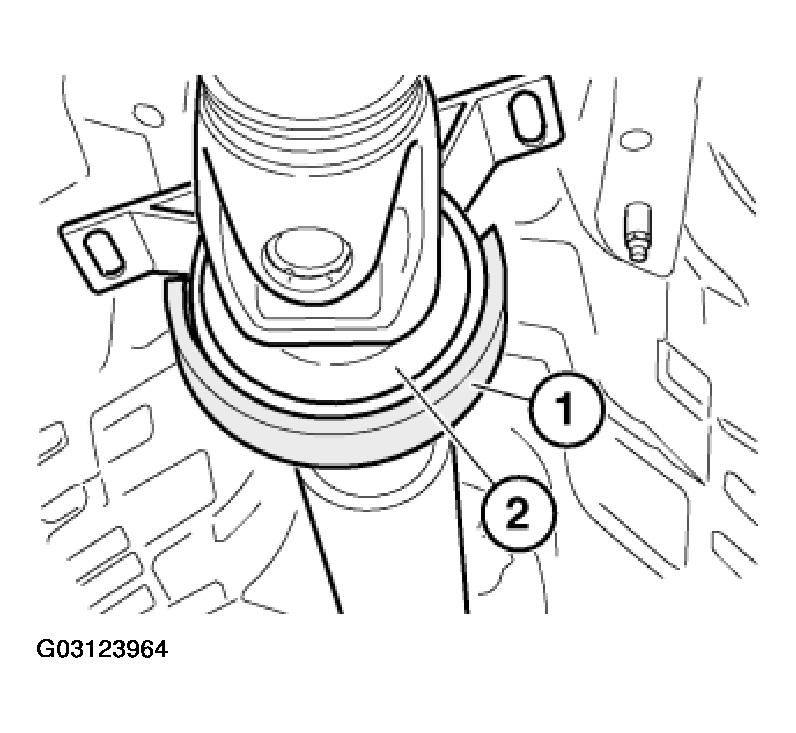 G03123964