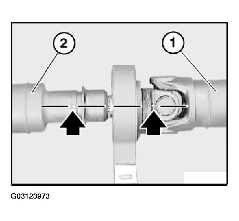 G03123973
