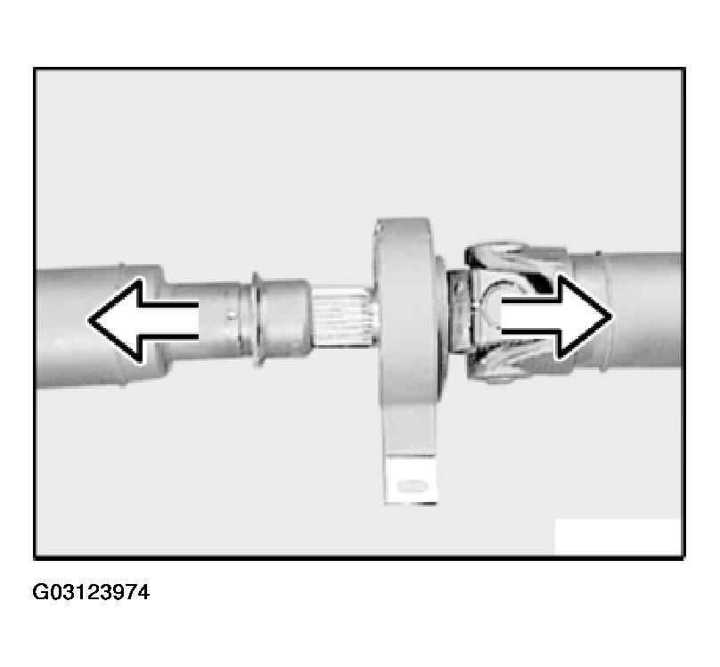 G03123974