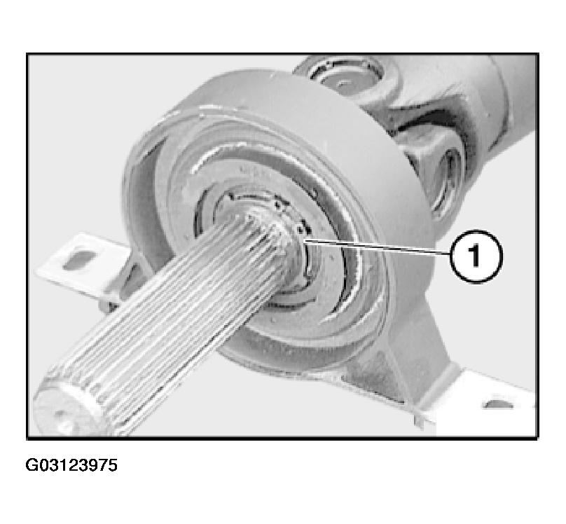 G03123975