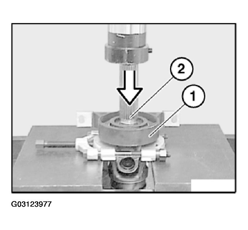 G03123977