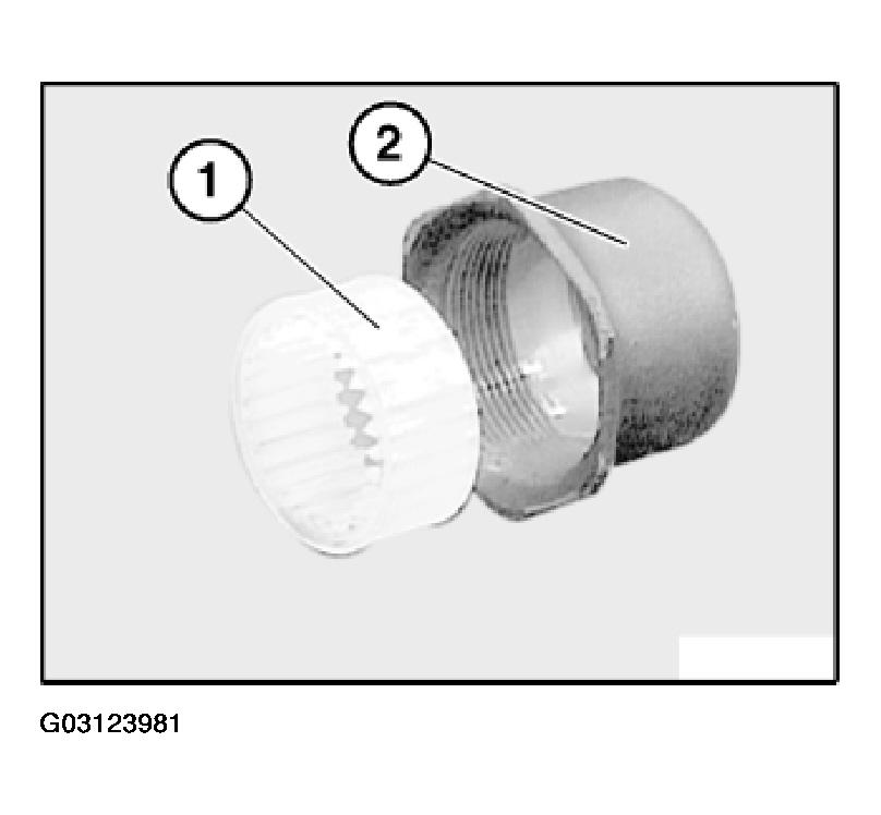 G03123981