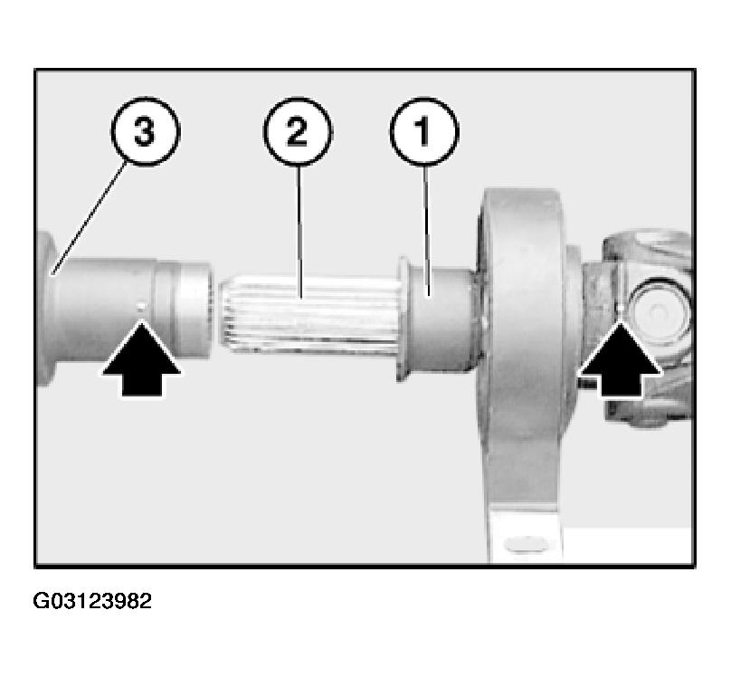 G03123982