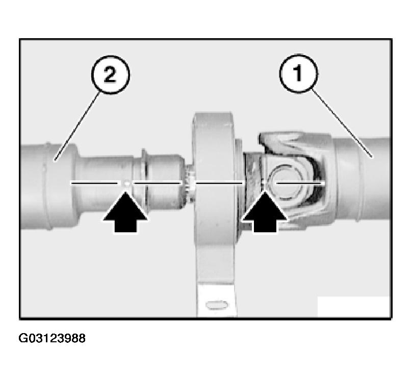 G03123988