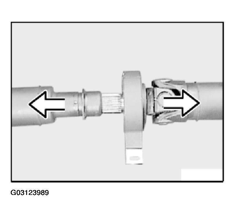G03123989
