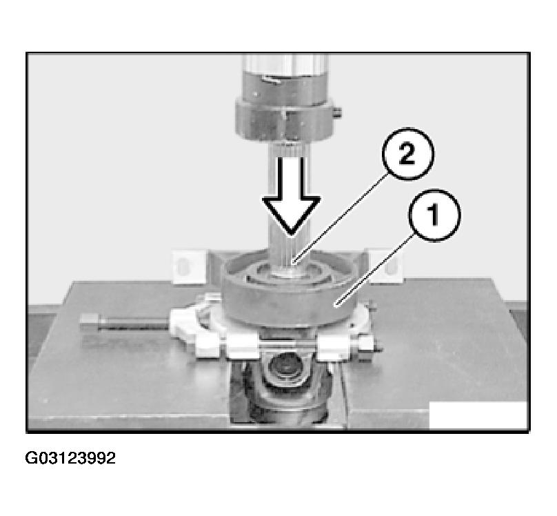 G03123992