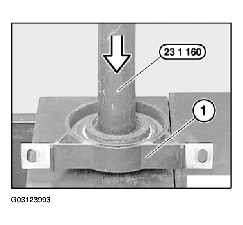 G03123993
