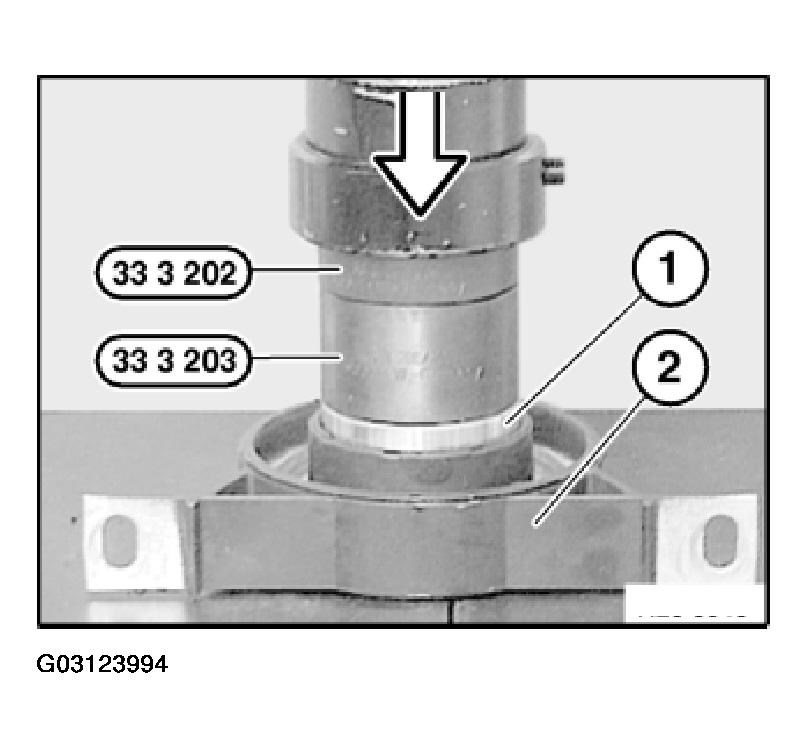 G03123994