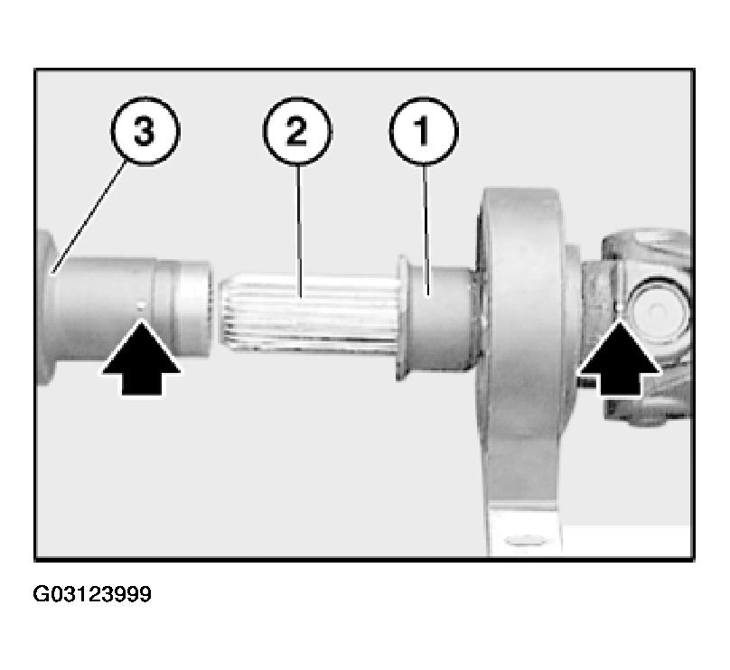 G03123999