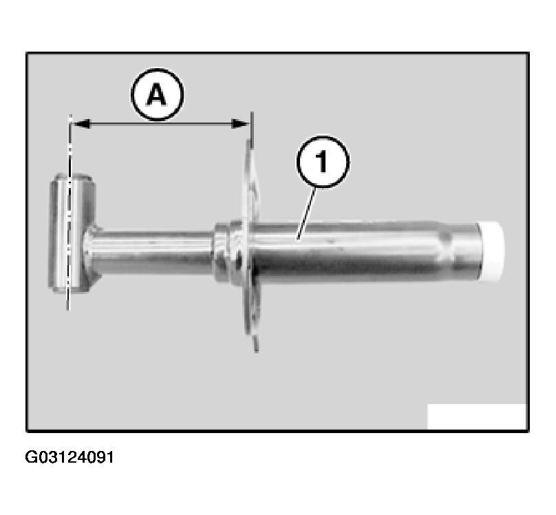 G03124091