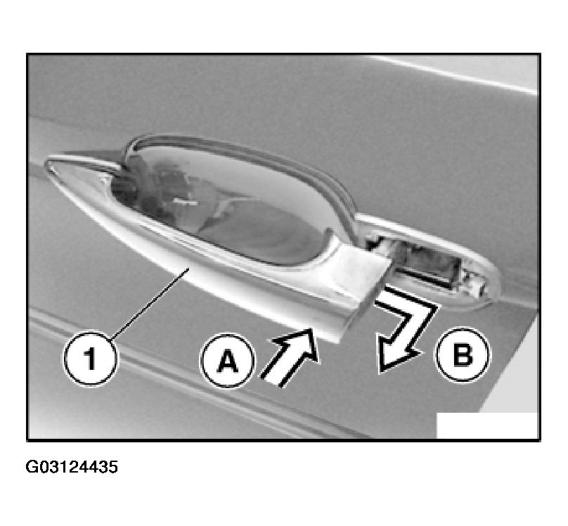 G03124435