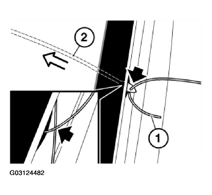 G03124482