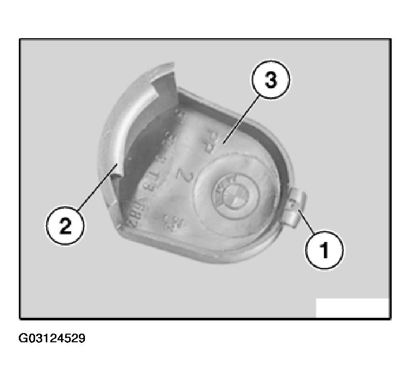 G03124529