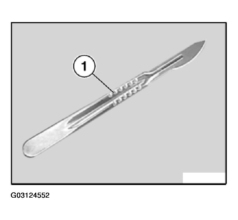 G03124552