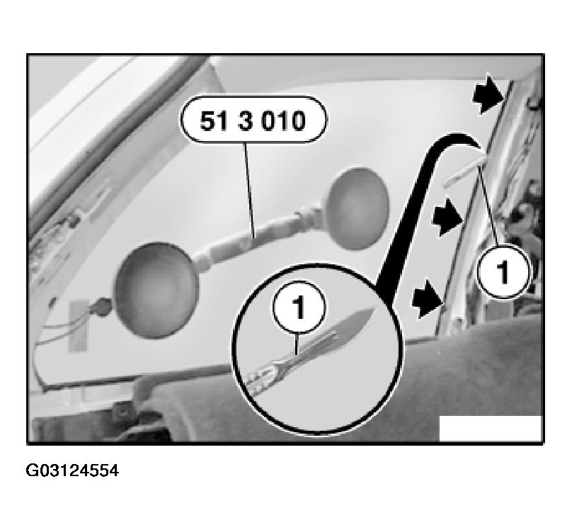 G03124554