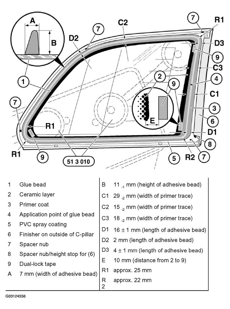 G03124556