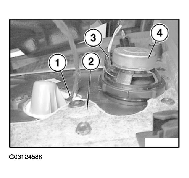 G03124586