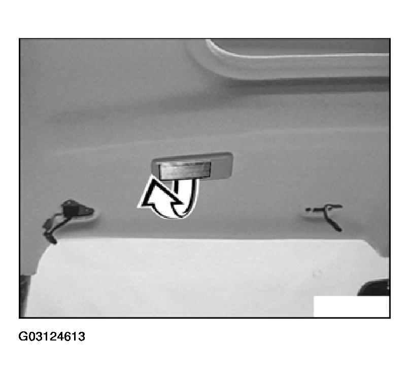 G03124613