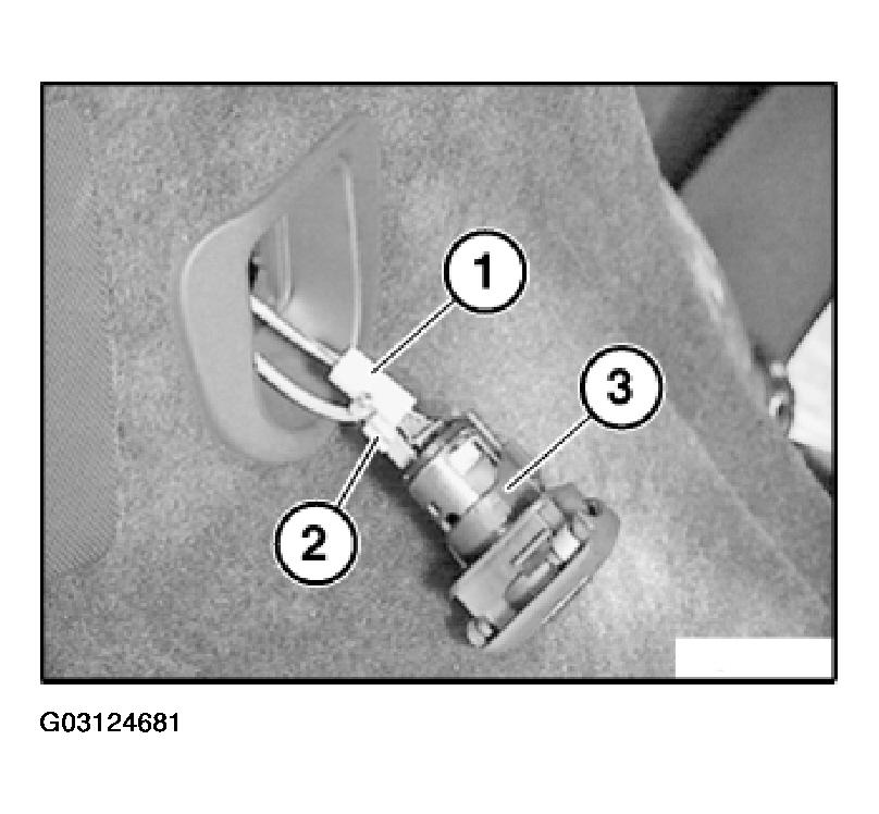 G03124681