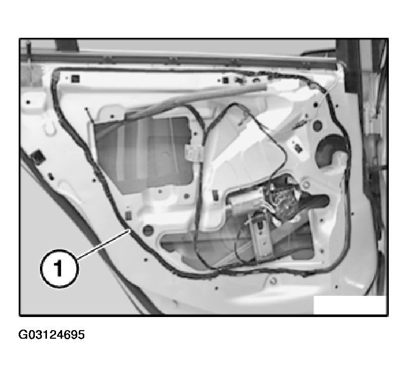G03124695