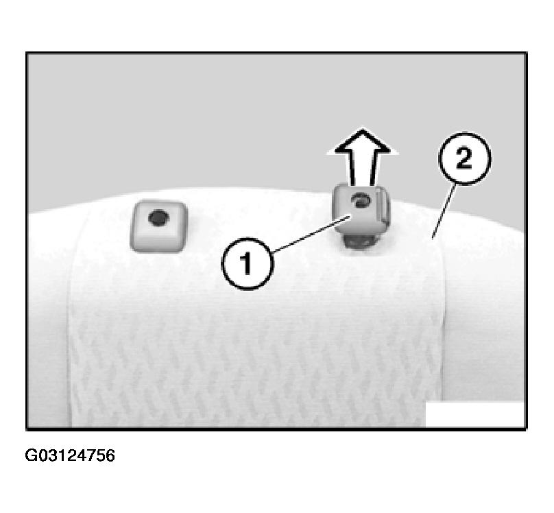 G03124756