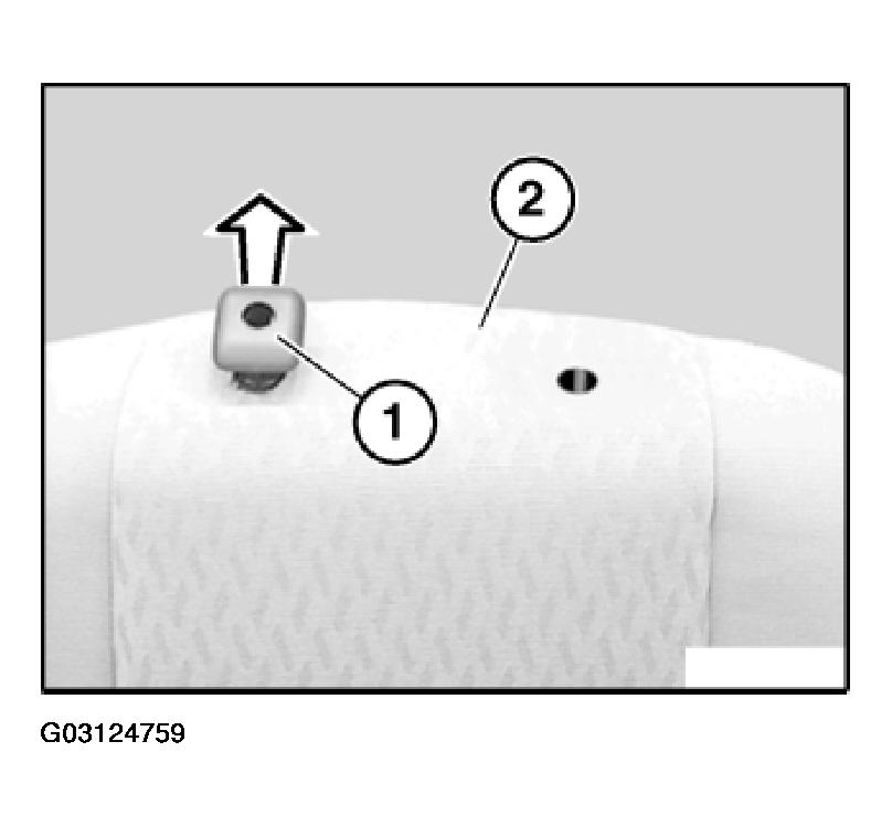 G03124759
