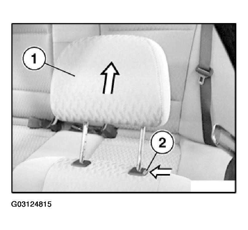 G03124815