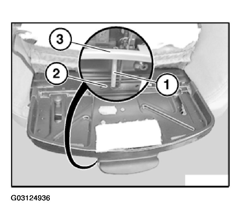 G03124936