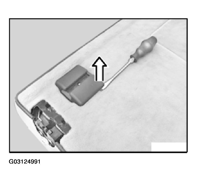 G03124991