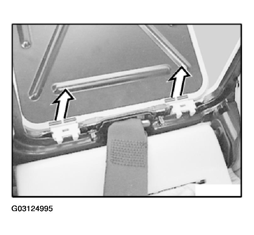 G03124995