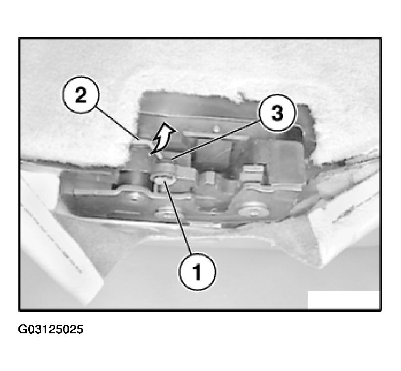 G03125025