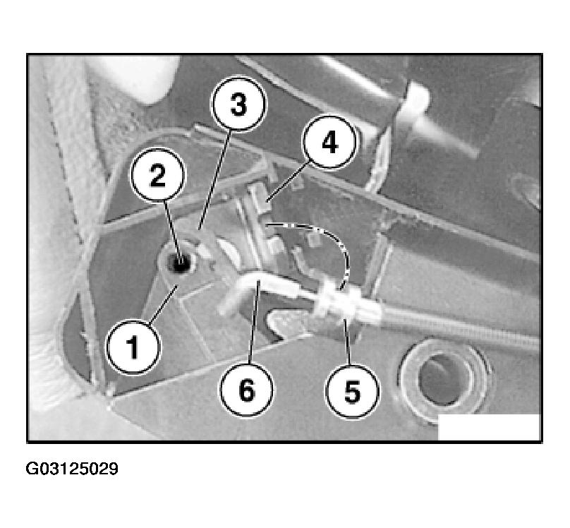 G03125029