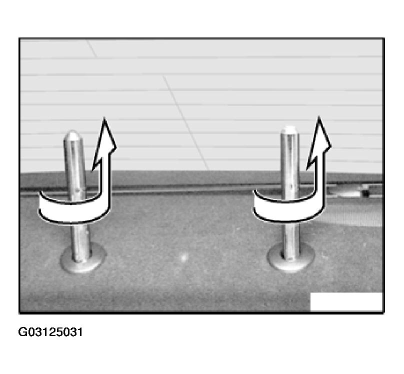 G03125031