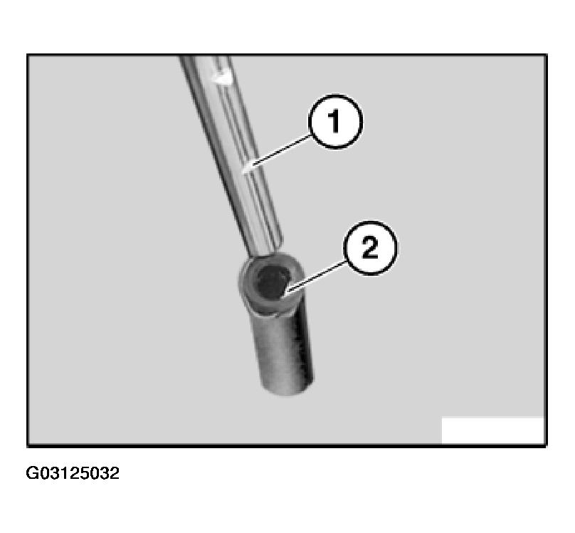 G03125032