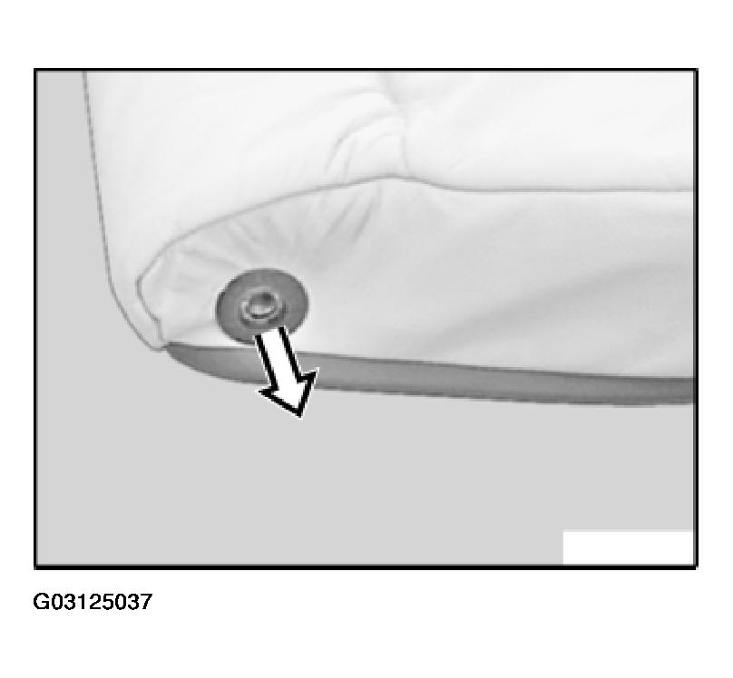 G03125037