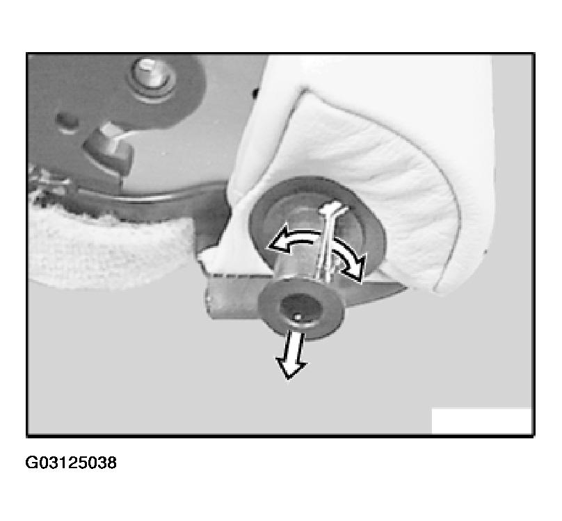 G03125038