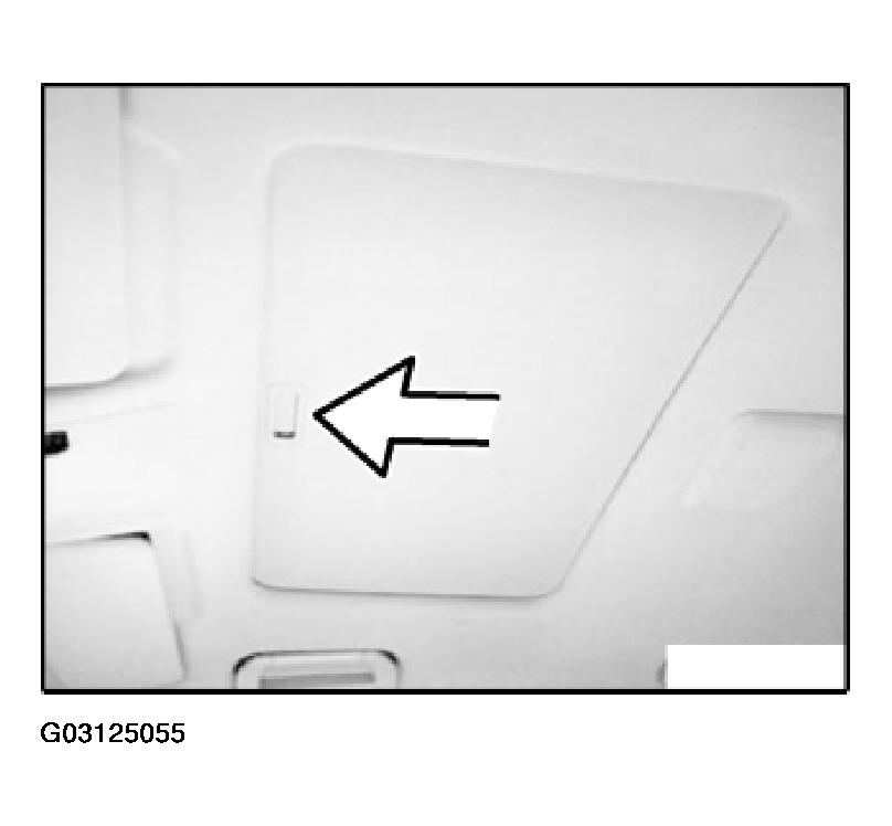 G03125055