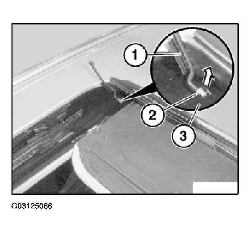 G03125066
