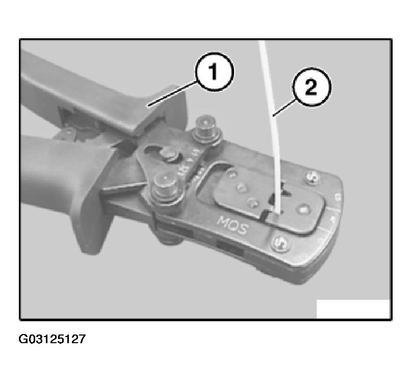 G03125127