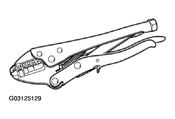 G03125129
