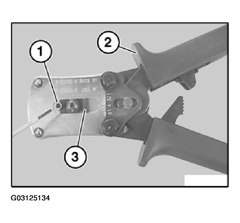 G03125134