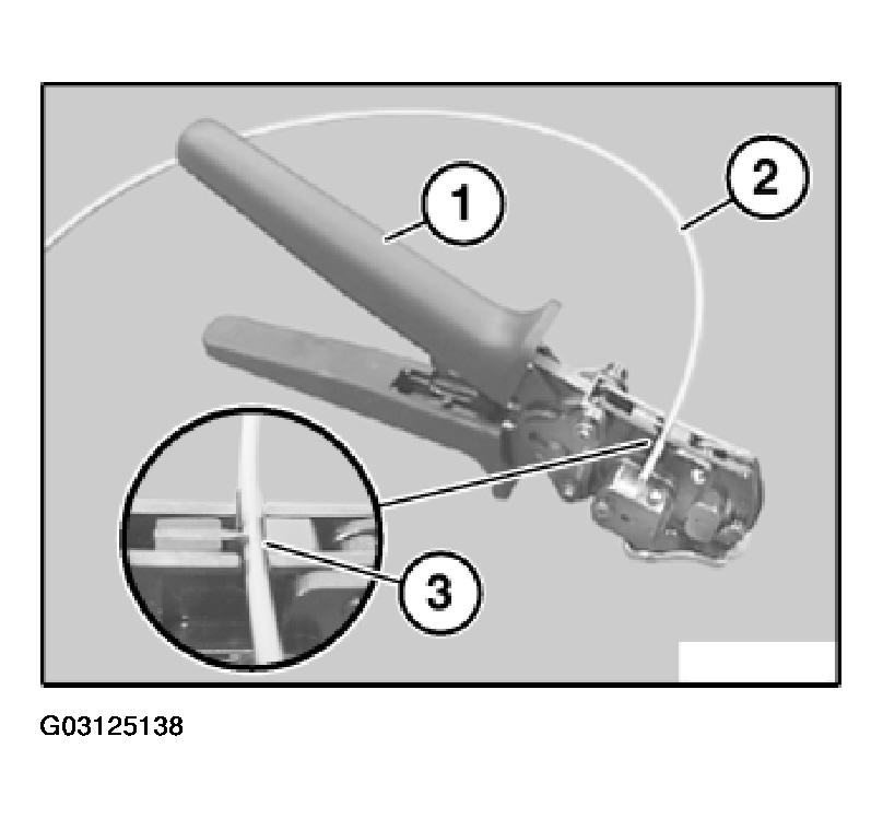 G03125138