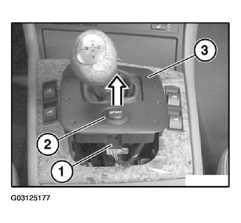 G03125177