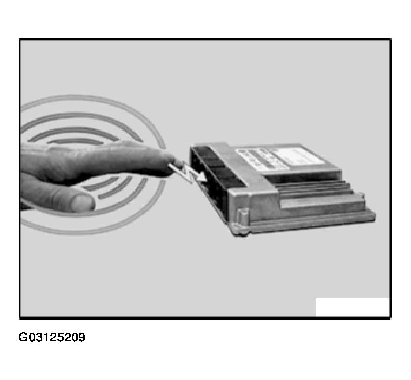 G03125209