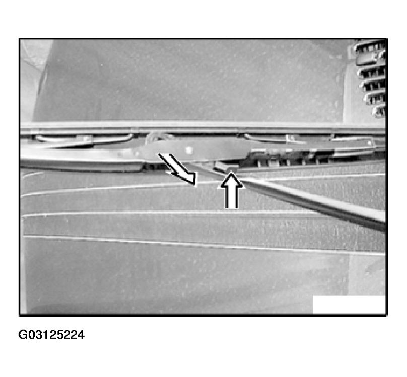 G03125224
