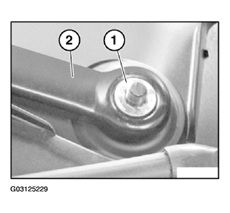 G03125229